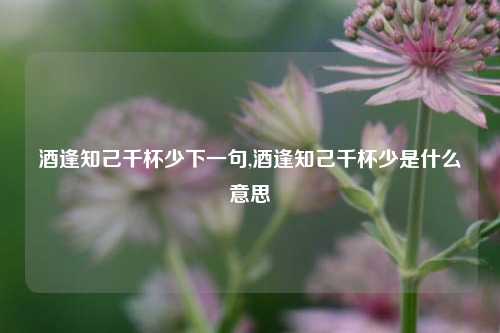 酒逢知己千杯少下一句,酒逢知己千杯少是什么意思