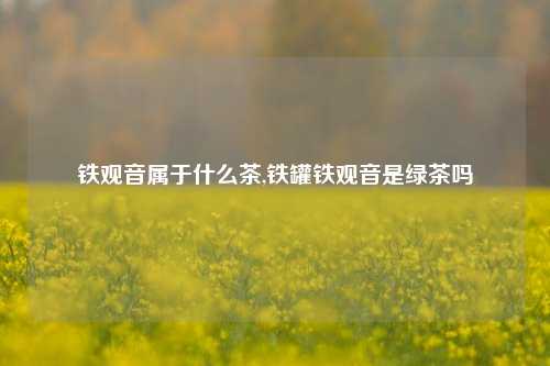 铁观音属于什么茶,铁罐铁观音是绿茶吗