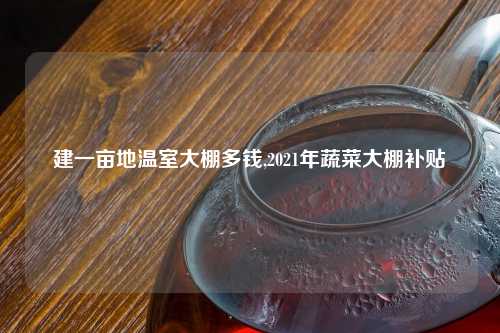 建一亩地温室大棚多钱,2021年蔬菜大棚补贴