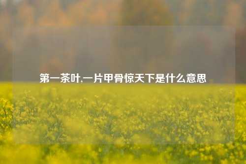 第一茶叶,一片甲骨惊天下是什么意思