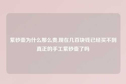 紫砂壶为什么那么贵,现在几百块钱已经买不到真正的手工紫砂壶了吗