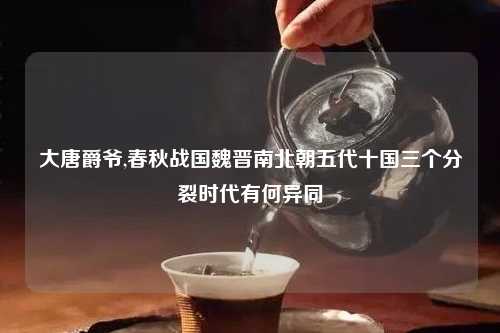 大唐爵爷,春秋战国魏晋南北朝五代十国三个分裂时代有何异同