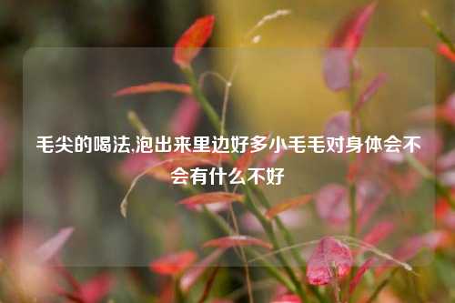 毛尖的喝法,泡出来里边好多小毛毛对身体会不会有什么不好