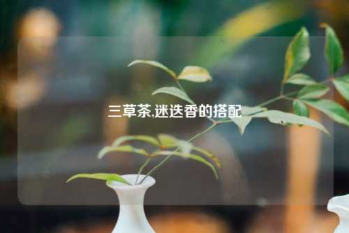 三草茶,迷迭香的搭配