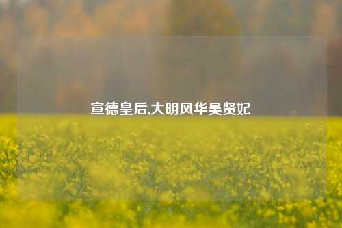 宣德皇后,大明风华吴贤妃