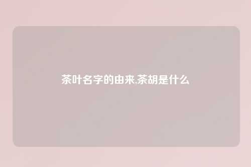 茶叶名字的由来,茶胡是什么