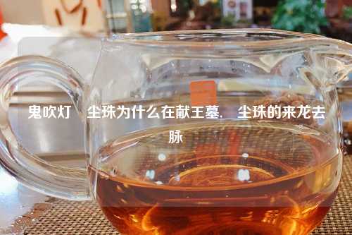 鬼吹灯雮尘珠为什么在献王墓,雮尘珠的来龙去脉