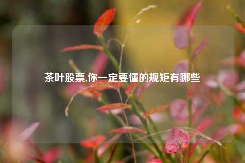 茶叶股票,你一定要懂的规矩有哪些