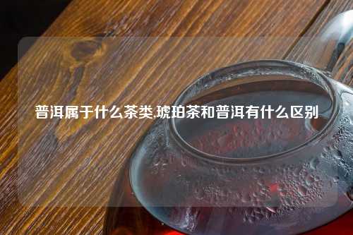 普洱属于什么茶类,琥珀茶和普洱有什么区别