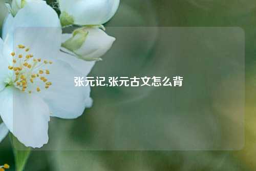 张元记,张元古文怎么背