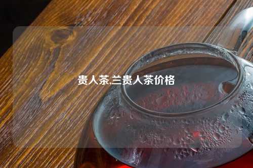贵人茶,兰贵人茶价格