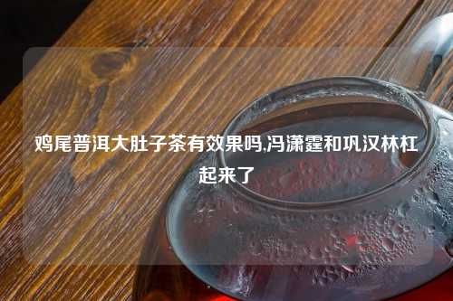 鸡尾普洱大肚子茶有效果吗,冯潇霆和巩汉林杠起来了