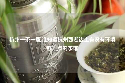 杭州一茶一座,谁知道杭州西湖边上有没有环境好一点的茶馆