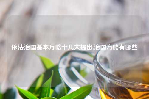 依法治国基本方略十几大提出,治国方略有哪些