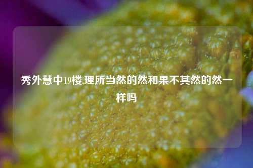 秀外慧中19楼,理所当然的然和果不其然的然一样吗