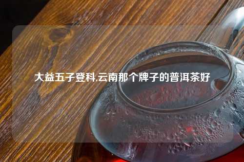 大益五子登科,云南那个牌子的普洱茶好