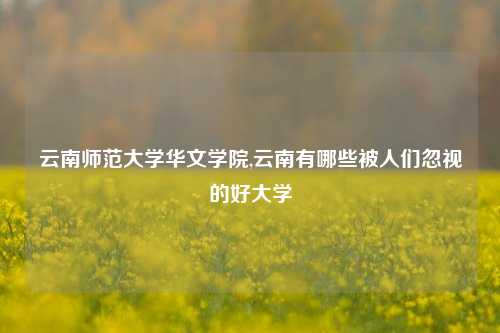 云南师范大学华文学院,云南有哪些被人们忽视的好大学