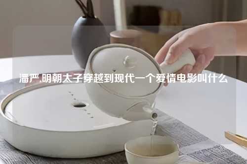 潘严,明朝太子穿越到现代一个爱情电影叫什么
