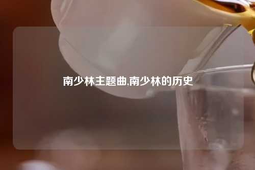 南少林主题曲,南少林的历史