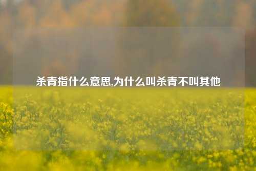 杀青指什么意思,为什么叫杀青不叫其他