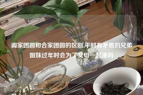 阖家团圆和合家团圆的区别,平时有矛盾的兄弟姐妹过年时会为了父母一起凑吗