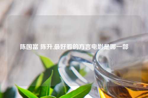 陈国富 陈升,最好看的方言电影是哪一部