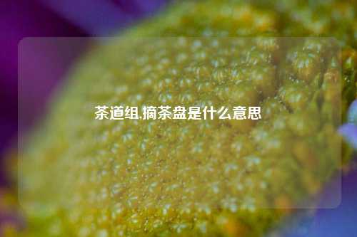 茶道组,摘茶盘是什么意思