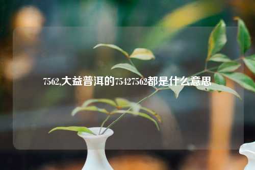 7562,大益普洱的75427562都是什么意思