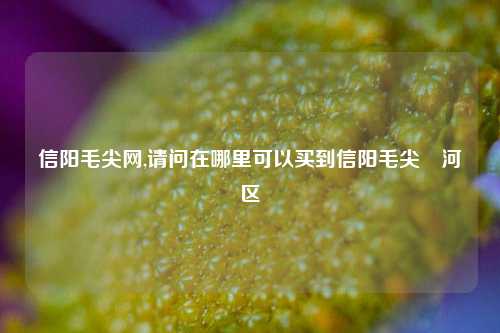 信阳毛尖网,请问在哪里可以买到信阳毛尖浉河区