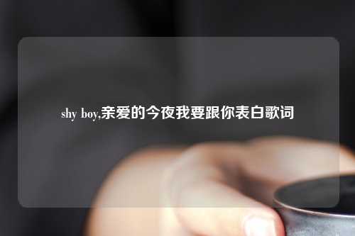 shy boy,亲爱的今夜我要跟你表白歌词