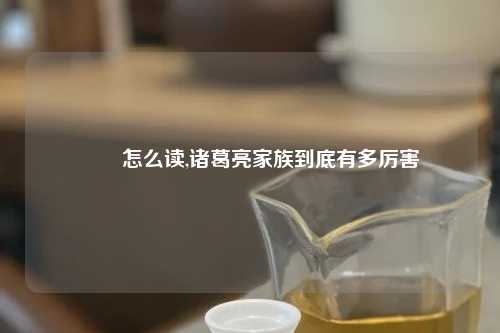 牂牁怎么读,诸葛亮家族到底有多厉害
