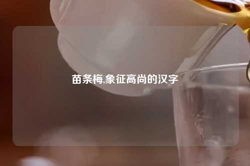 苗条梅,象征高尚的汉字