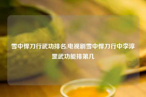 雪中悍刀行武功排名,电视剧雪中悍刀行中李淳罡武功能排第几
