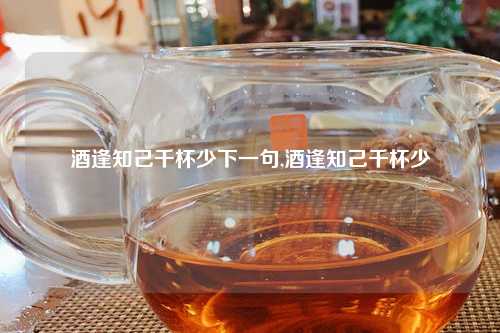 酒逢知己千杯少下一句,酒逢知己千杯少