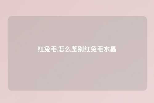 红兔毛,怎么鉴别红兔毛水晶