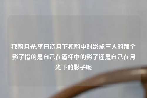 独酌月光,李白诗月下独酌中对影成三人的那个影子指的是自己在酒杯中的影子还是自己在月光下的影子呢