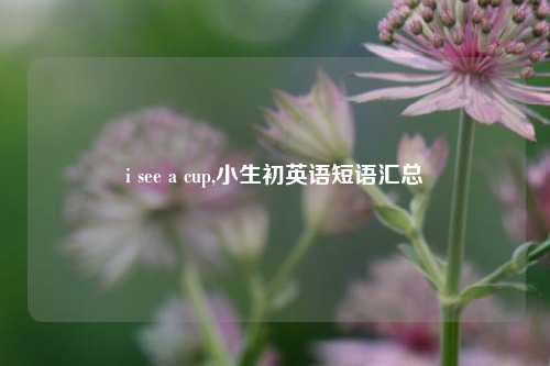 i see a cup,小生初英语短语汇总