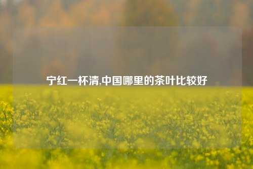 宁红一杯清,中国哪里的茶叶比较好