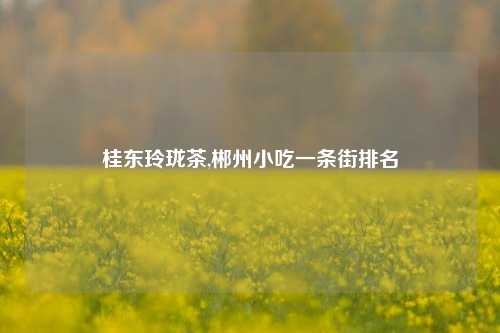 桂东玲珑茶,郴州小吃一条街排名