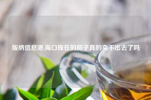 版纳信息港,海口现在的房子真的卖不出去了吗