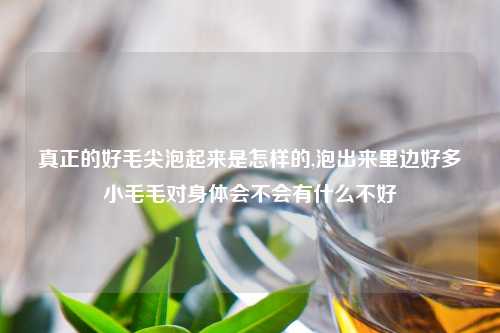 真正的好毛尖泡起来是怎样的,泡出来里边好多小毛毛对身体会不会有什么不好