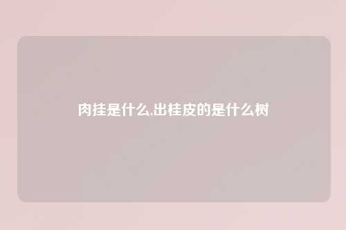 肉挂是什么,出桂皮的是什么树