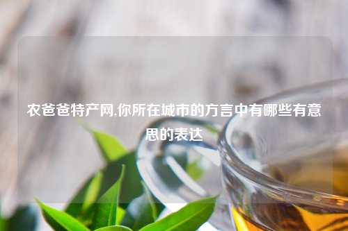 农爸爸特产网,你所在城市的方言中有哪些有意思的表达