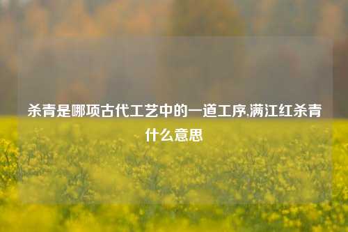 杀青是哪项古代工艺中的一道工序,满江红杀青什么意思