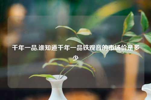 千年一品,谁知道千年一品铁观音的市场价是多少
