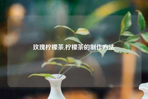 玫瑰柠檬茶,柠檬茶的制作方法