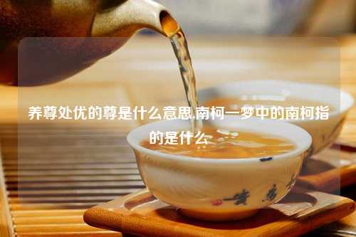 养尊处优的尊是什么意思,南柯一梦中的南柯指的是什么
