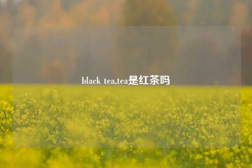black tea,tea是红茶吗