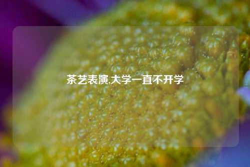 茶艺表演,大学一直不开学