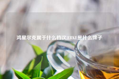 鸿星尔克属于什么档次,ERKE是什么牌子